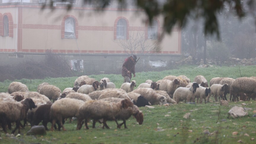İsrail ordusu, Suriye'nin Kuneytra kırsalına baskın düzenleyerek bir çobanı alıkoydu