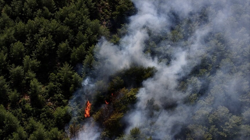 Fethiye'de çıkan orman yangını kontrol altına alındı
