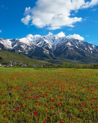 لە لووتکەی چیای ئارتۆس وەرزی زستان و لە بنارەکانی وەرزی بەهارە