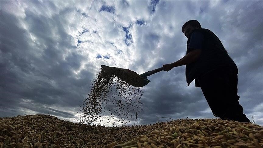 Yaklaşık 6,5 milyar lira tarımsal destekleme ödemesi bugün yapılacak