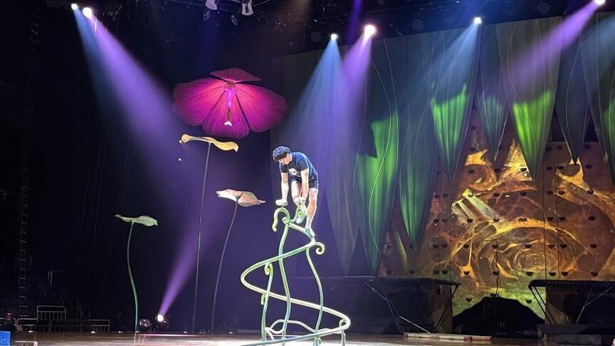 Cirque du Soleil'in renkli dünyası "OVO" ile İstanbul'da sahneye taşınıyor
