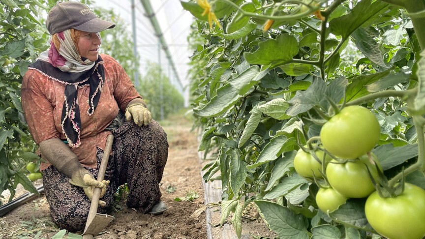 Antalya sebze-meyve üretiminde Türkiye'nin lideri
