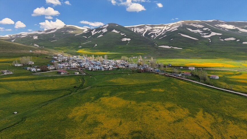 Erzurum'da çiçeklerle kaplanan çayırlar ile karla örtülü dağlar bir arada