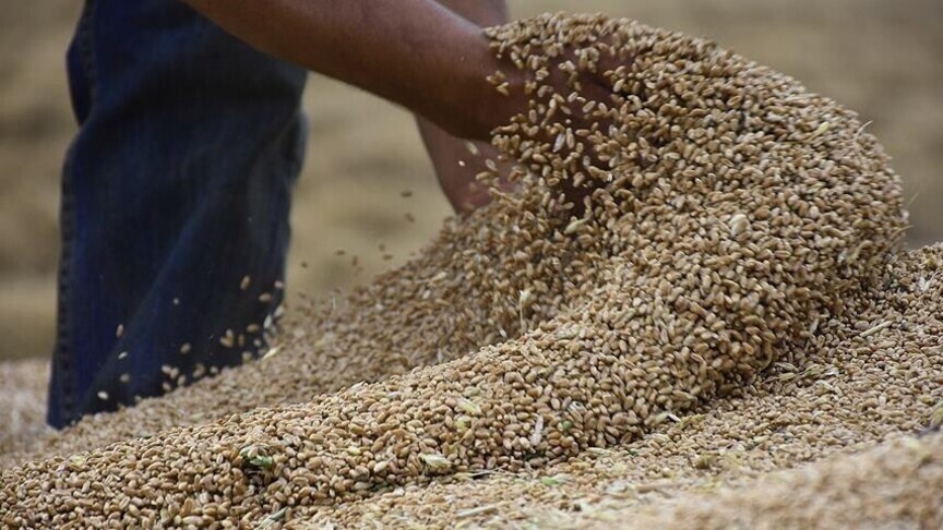 نەتەوە یەکگرتووەکان: "بەھۆی گرژییەکانی ناوچەکەوە نرخی خۆراک بەڕێژەی ٢،٩ لە سەدا بەرزبووەتەوە"