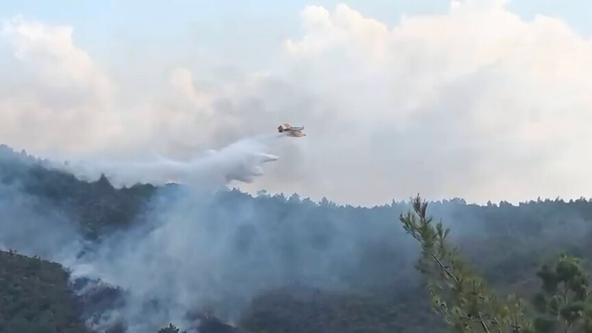 Muğla'da yıldırım düşmesi sonucu çıkan orman yangınlarına müdahale ediliyor