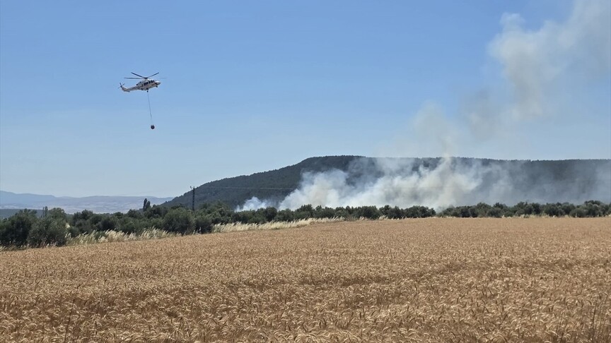 Çanakkale'de tarım arazisinde çıkan yangına müdahale ediliyor