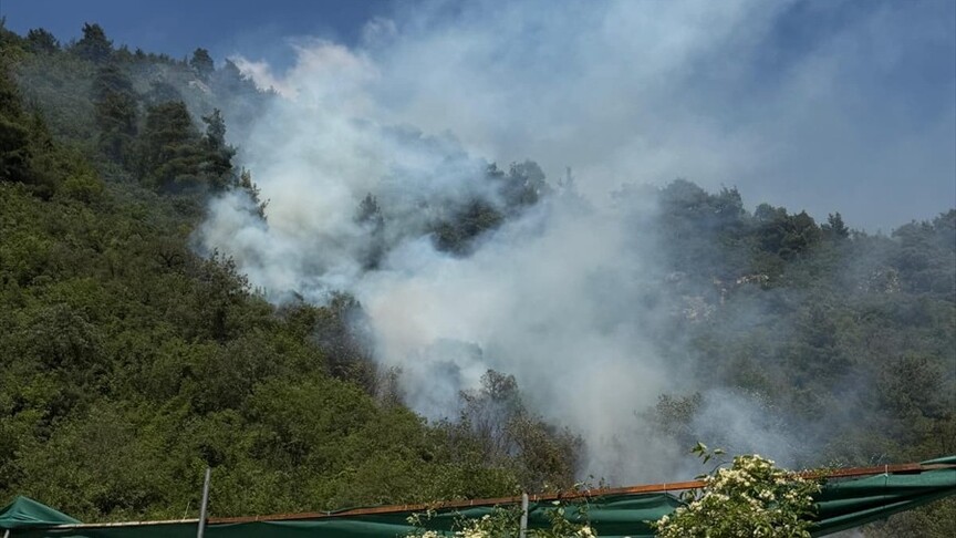 Bursa ve İzmir'de çıkan orman yangınlarına müdahale ediliyor