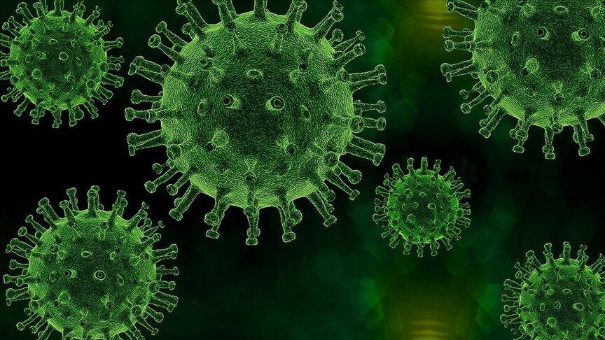 DNA örneklerine göre, en eski veba salgını yaklaşık 5 bin 500 yıl önce görüldü