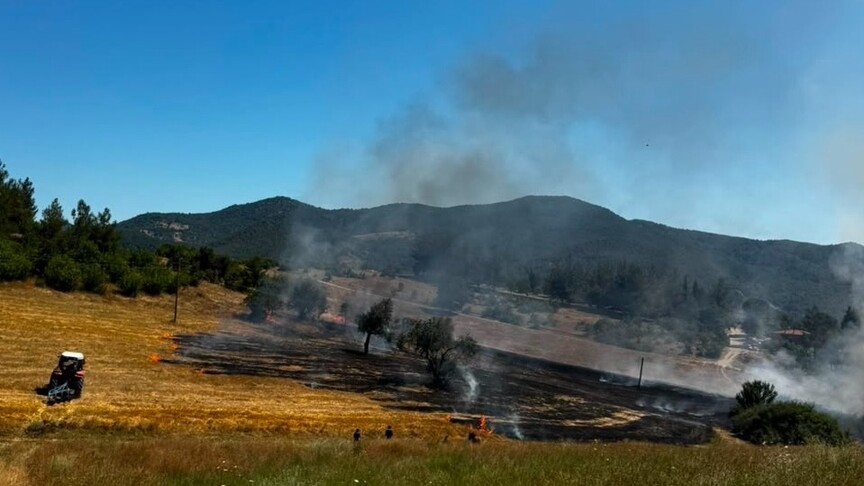 Balıkesir'in 3 ilçesi ile İzmir'de çıkan yangınlara müdahale ediliyor