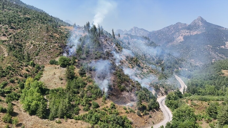 Adana'nın Feke ilçesinde orman yangını çıktı