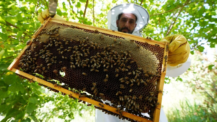 ئاژانسی تیکای تورکیا یارمەتی پێشکەش بە ٢٠٠ ھەنگەوانی عێراقی لە ئەنبار کرد