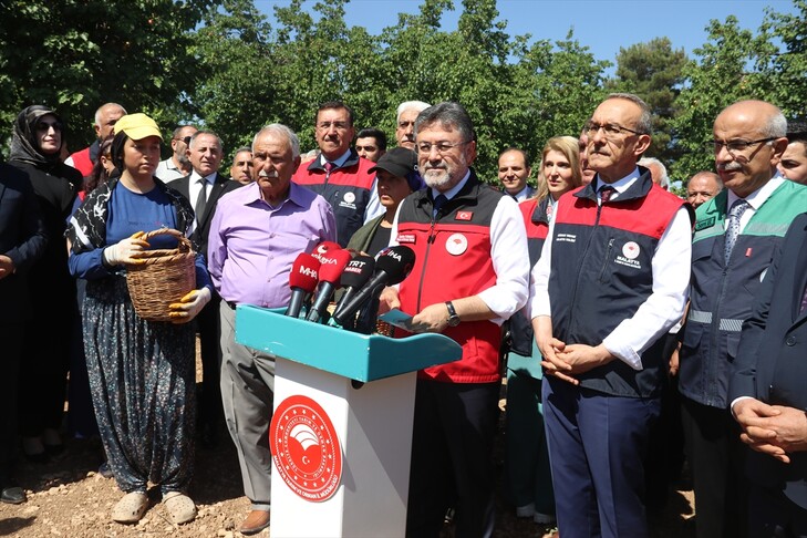 Tarım ve Orman Bakanı Yumaklı, Malatya'da kayısı hasadına katıldı