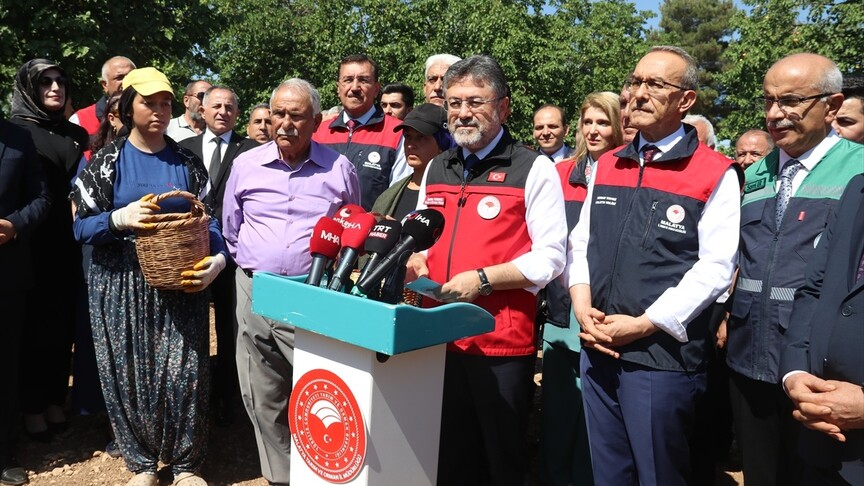 Tarım ve Orman Bakanı Yumaklı, Malatya'da kayısı hasadına katıldı