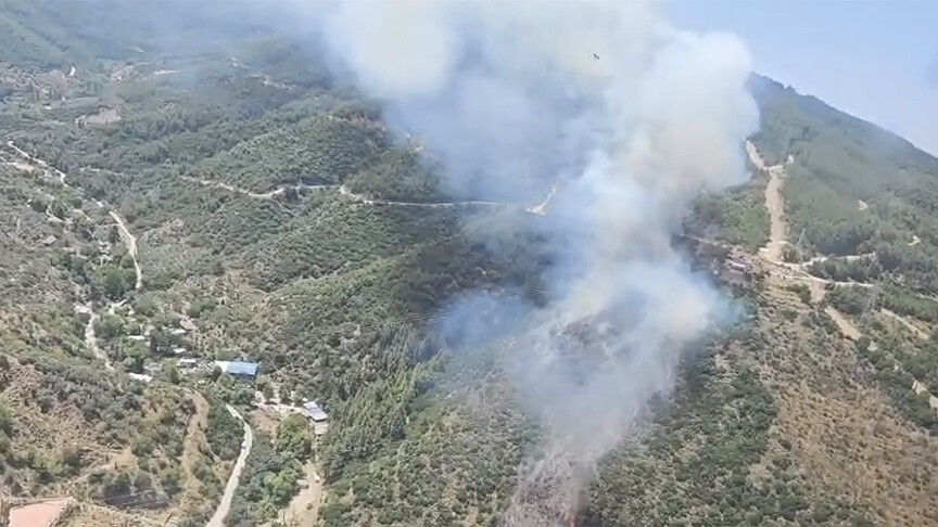 İzmir ve Kütahya'da ormanlık alanda çıkan yangına müdahale ediliyor
