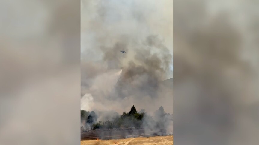 Antalya'da ormanlık alanda çıkan yangına müdahale ediliyor