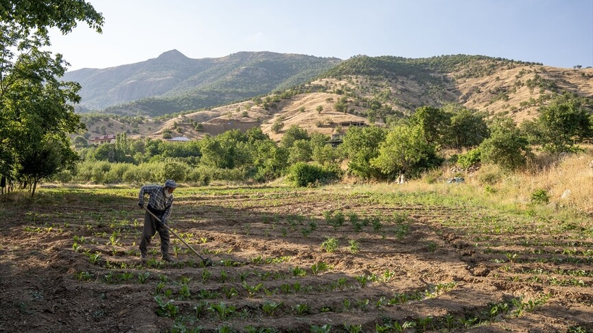 دوای پڕۆسەی تورکیای بێ تیرۆر گوندەکانی ھەرێم ئاوەدان دەبنەوە و خەڵک دەگەڕێنەوە سەر زێدی خۆیان