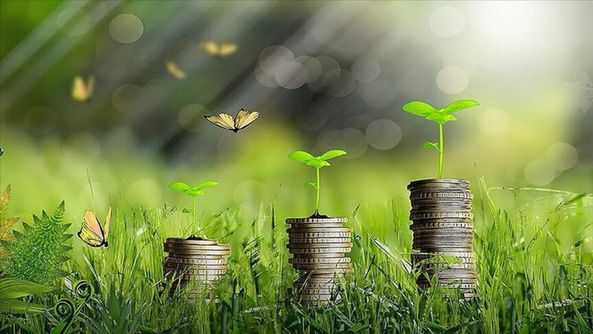 DOSYA: Yeşil Kapitalizm