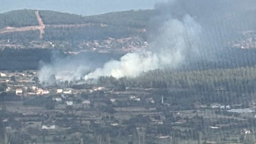 Muğla'da çıkan orman yangınına müdahale ediliyor