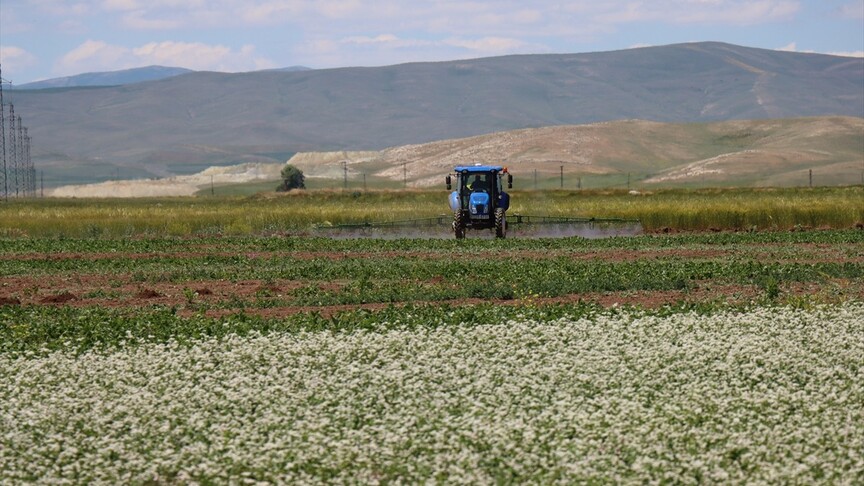 Erzincan'da alternatif ürünlerle tarımsal üretim çeşitleniyor