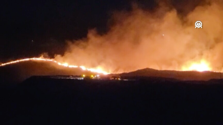 Adıyaman'da otluk alanda çıkıp ormana sıçrayan yangını söndürme çalışmaları devam ediyor