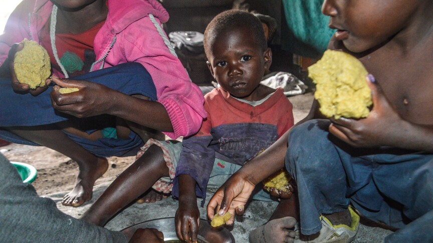 WFP: Kongo Demokratik Cumhuriyeti'ndeki Ebola salgını gıda krizini derinleştiriyor