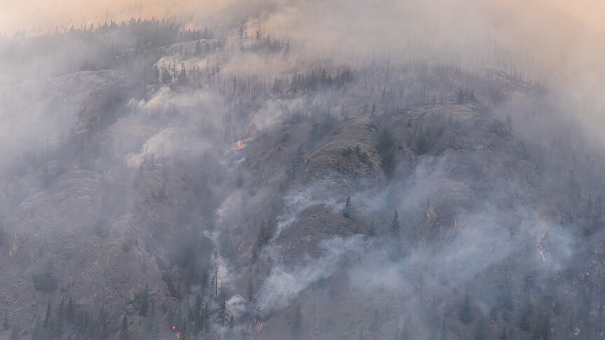 Kanada'nın British Columbia eyaletinde orman yangınları nedeniyle 5 binden fazla kişi tahliye edildi