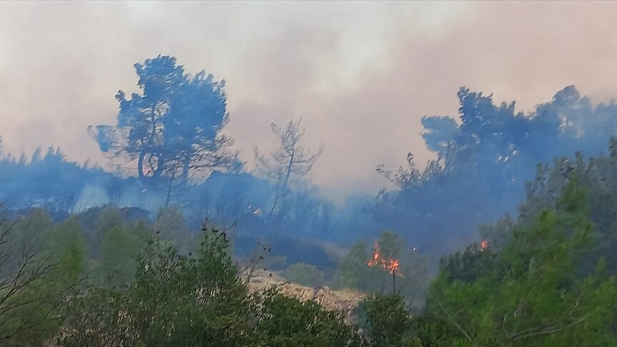 Çanakkale'nin Ezine ilçesinde ormanlık alanda çıkan yangına müdahale ediliyor