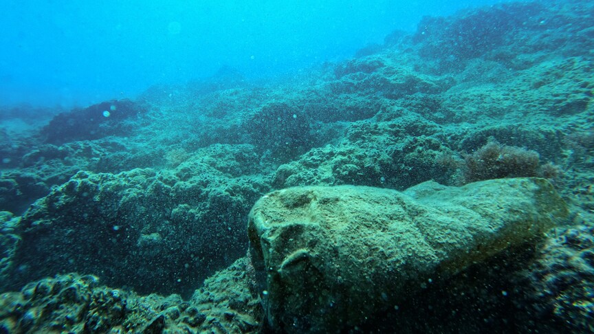 Sıfır Atık Vakfı, Akdeniz ve Ege'de plastik kirliliğine karşı saha çalışması başlatıyor