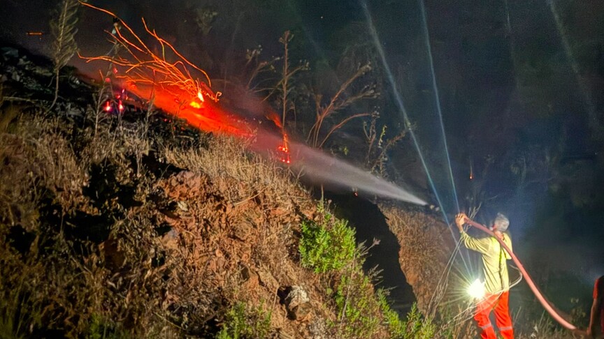 Antalya'nın Gazipaşa ilçesinde orman yangını başladı