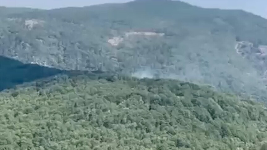 Edremit'te çıkan orman yangını kontrol altına alındı