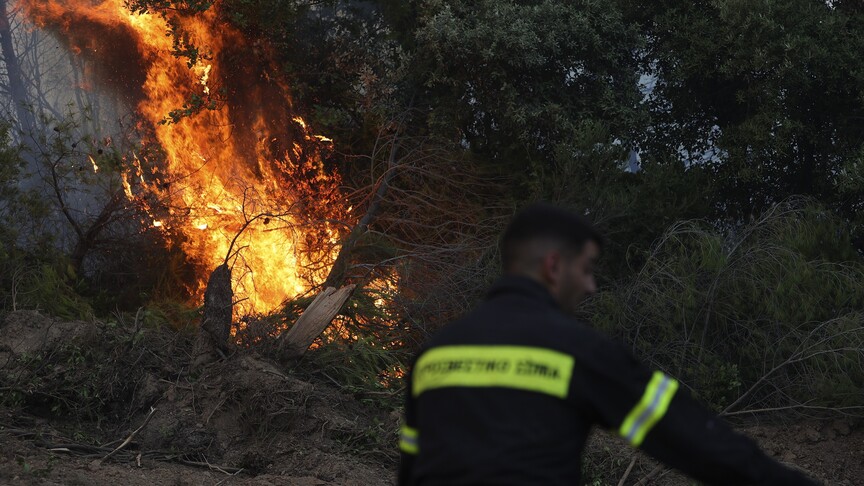 Yunanistan'ın Eğriboz Adası ve Meriç ilinde orman yangınları çıktı