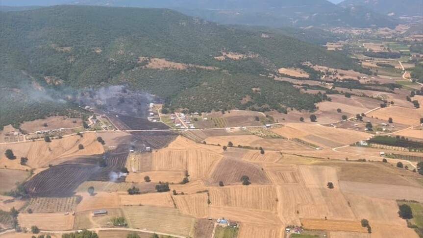 İzmir'de çıkan orman yangınına müdahale ediliyor