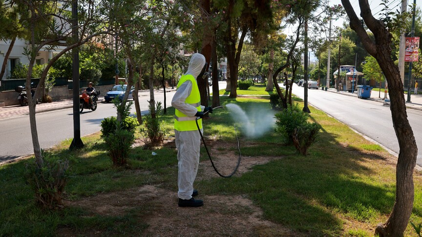 Yunan uzman, Batı Nil virüsü vakalarının en çok ağustos sonunda görüldüğünü söyledi