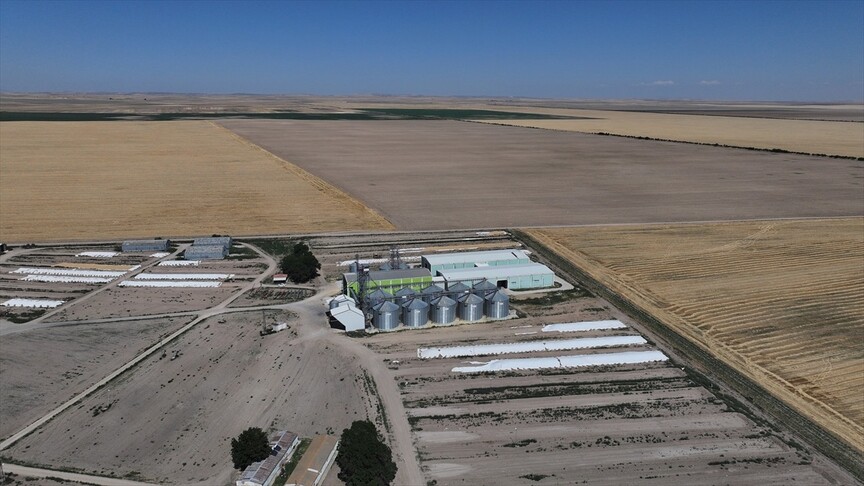 Malya Tarım'da işlenip paketlenen sertifikalı tohumlar çiftçilere bayiler aracılığıyla ulaştırılıyor