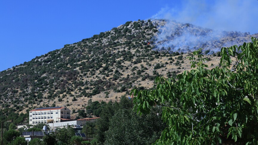 İsrail'in insandışılaştırma politikası: Lübnan'da küller, Negev'de timsahlar