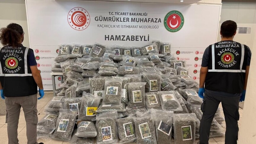 Hamzabeyli Sınır Kapısı'nda bir tırda yaklaşık 288 kilogram esrar ele geçirildi