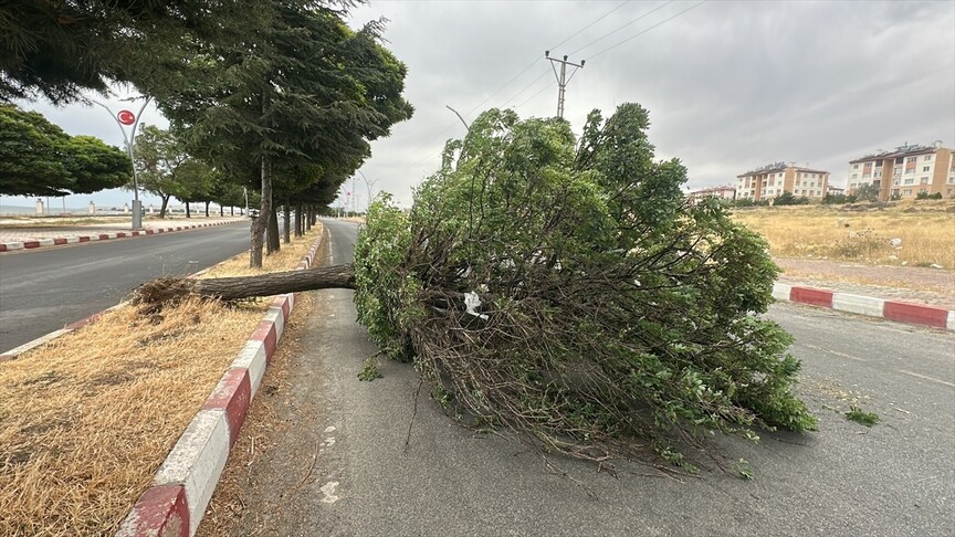 Van'da şiddetli rüzgar etkili oldu