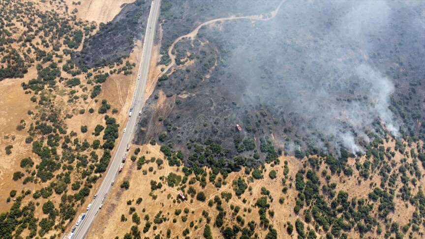 Elazığ'da ormana sıçrayan yangın söndürüldü