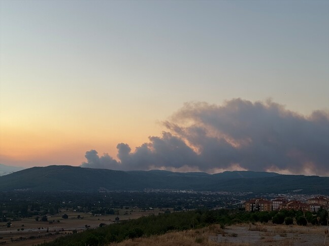 Muğla'da çıkan orman yangınına müdahale ediliyor