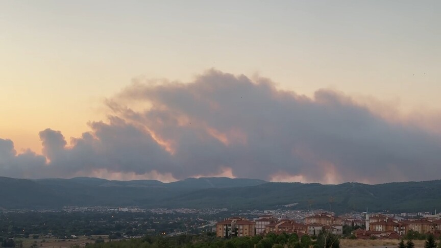 Muğla'da çıkan orman yangınına müdahale ediliyor