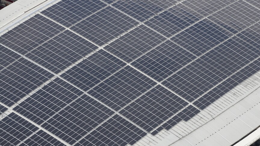 Türkiye, çatılarındaki 120 gigavatlık güneş potansiyeliyle elektrik talebinin yüzde 45'ini karşılayabilir