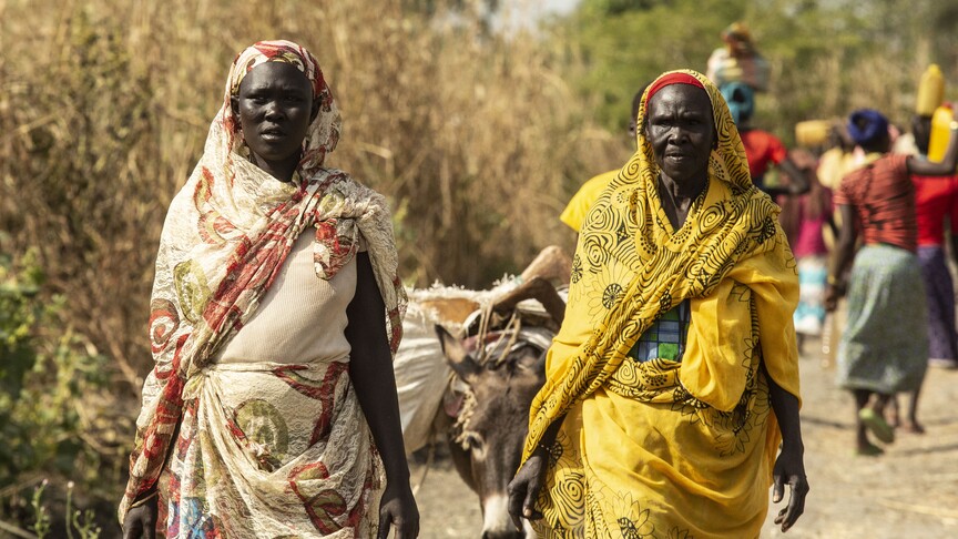 Sudan'ın Mavi Nil eyaletinde ocaktan bu yana yaklaşık 100 bin kişi yerinden edildi
