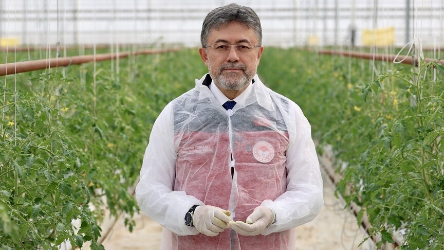 Tarım ve Orman Bakanı Yumaklı: Örtü altı üretimde dünyada dördüncü, Avrupa'da ikinci sıradayız