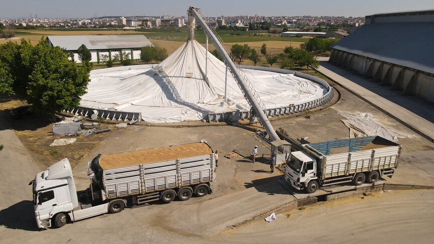 TMO, bu yıl 12,3 milyon ton hububat aldı