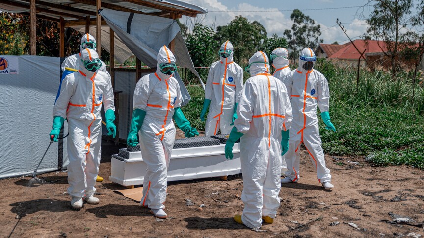 Nijerya, Kongo Demokratik Cumhuriyeti'ndeki Ebola salgını nedeniyle yüksek alarm durumuna geçti