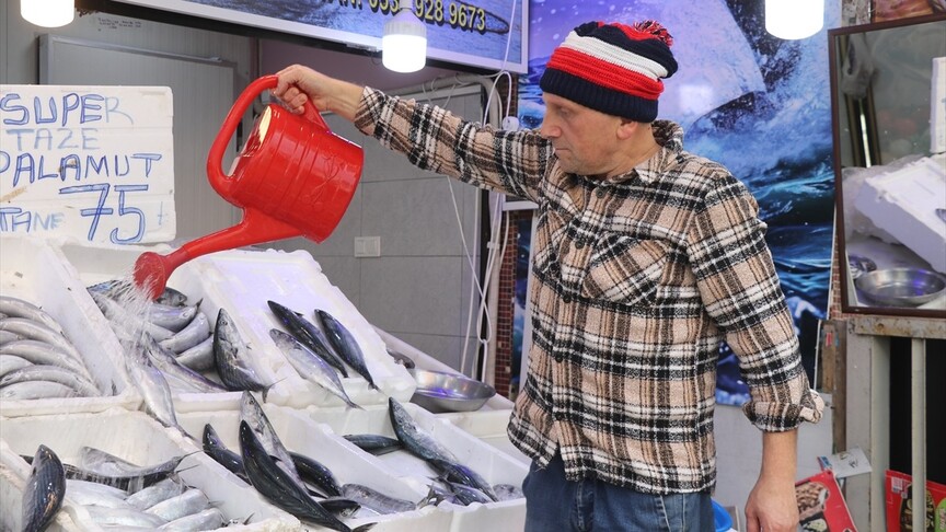 Karadeniz'de palamut bolluğu Rize'de tezgahlara yansıdı