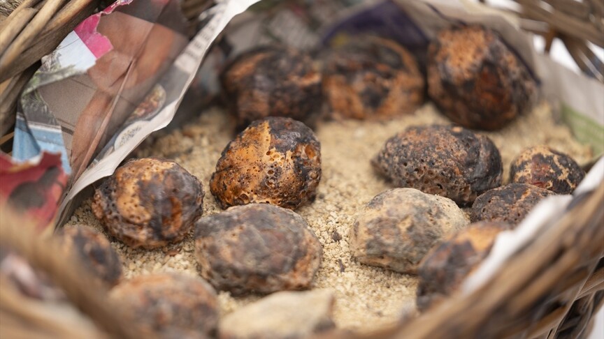 TEKNOFEST'te tarımın su sorununa öğrencilerden yenilikçi çözüm