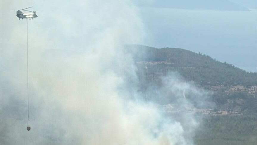 Bodrum'da çıkan orman yangınına müdahale ediliyor