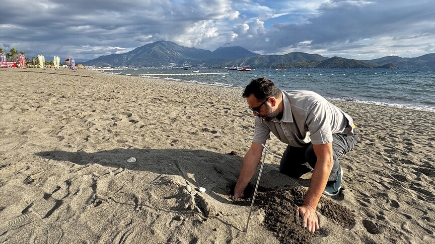 Fethiye sahillerinde yaklaşık 6 bin caretta caretta yavrusu denizle buluştu