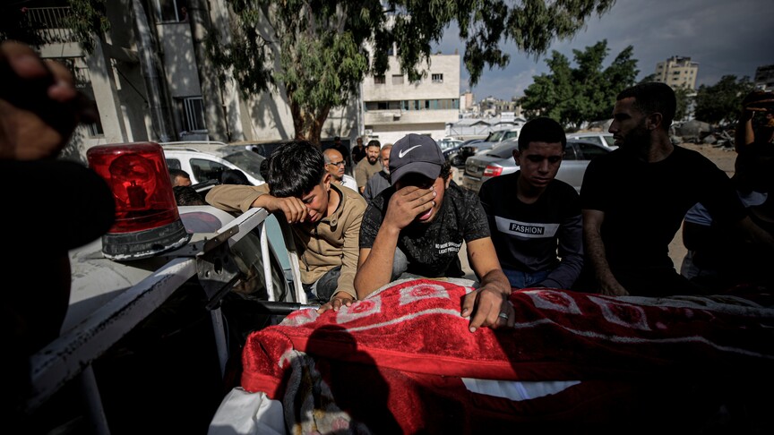 Gaza ceasefire ‘exists only on paper,’ say over 100 NGOs in joint statement
